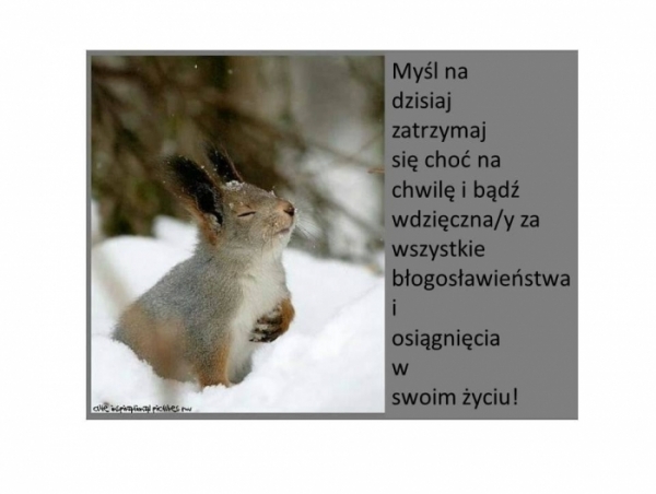 Myśl na dziś i nie tylko...